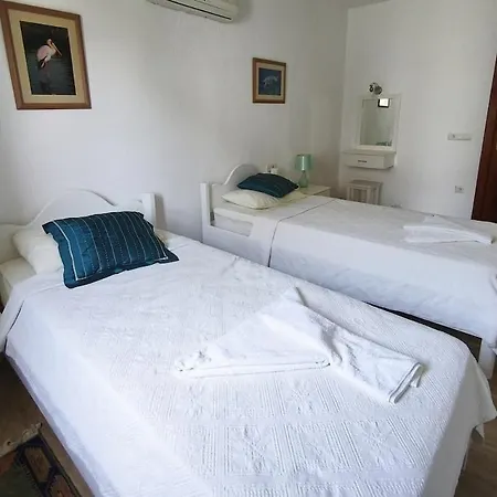 Sanda Dalyan