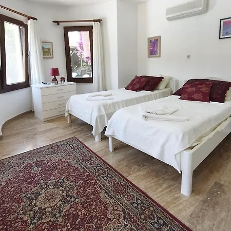 Sanda Dalyan